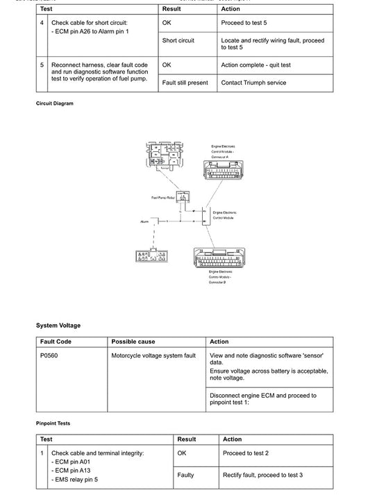 2018-2019 Triumph Street Triple R 765 Service Manual
