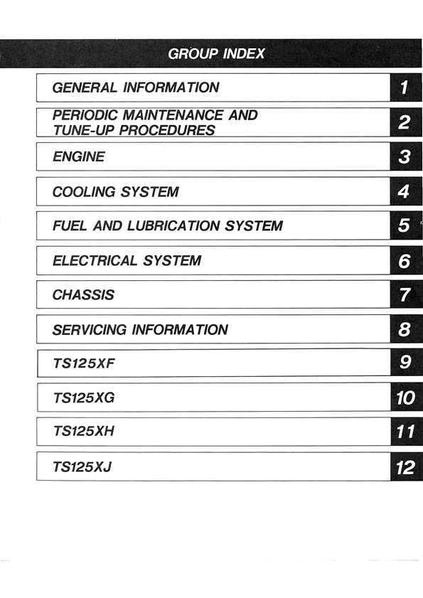 1984-1989 Suzuki TS 125X TS125X Service Manual