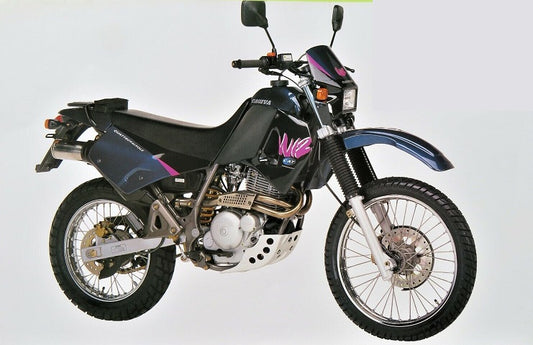 1991-1996 Cagiva W12 350cc Manual de servicio