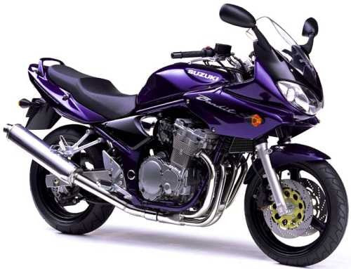 2000-2004 Suzuki GSF600S Manual Bandit carenado
