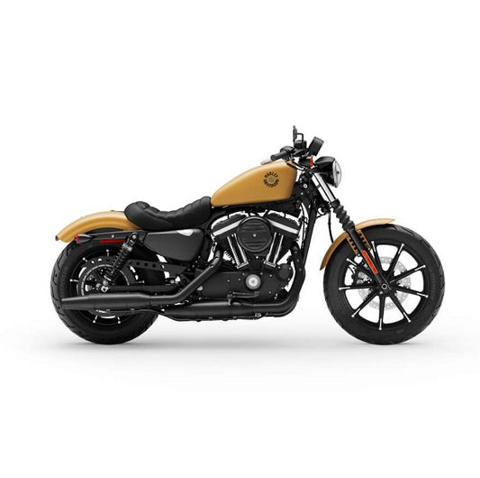 2019 Harley Davidson XL883N Sportster Manual de servicio de hierro