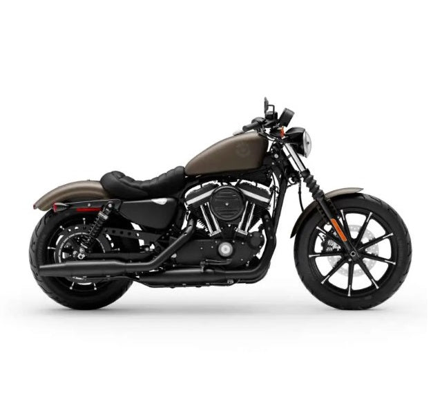 2021 Harley Davidson XL883N Sportster Manual de servicio de plancha