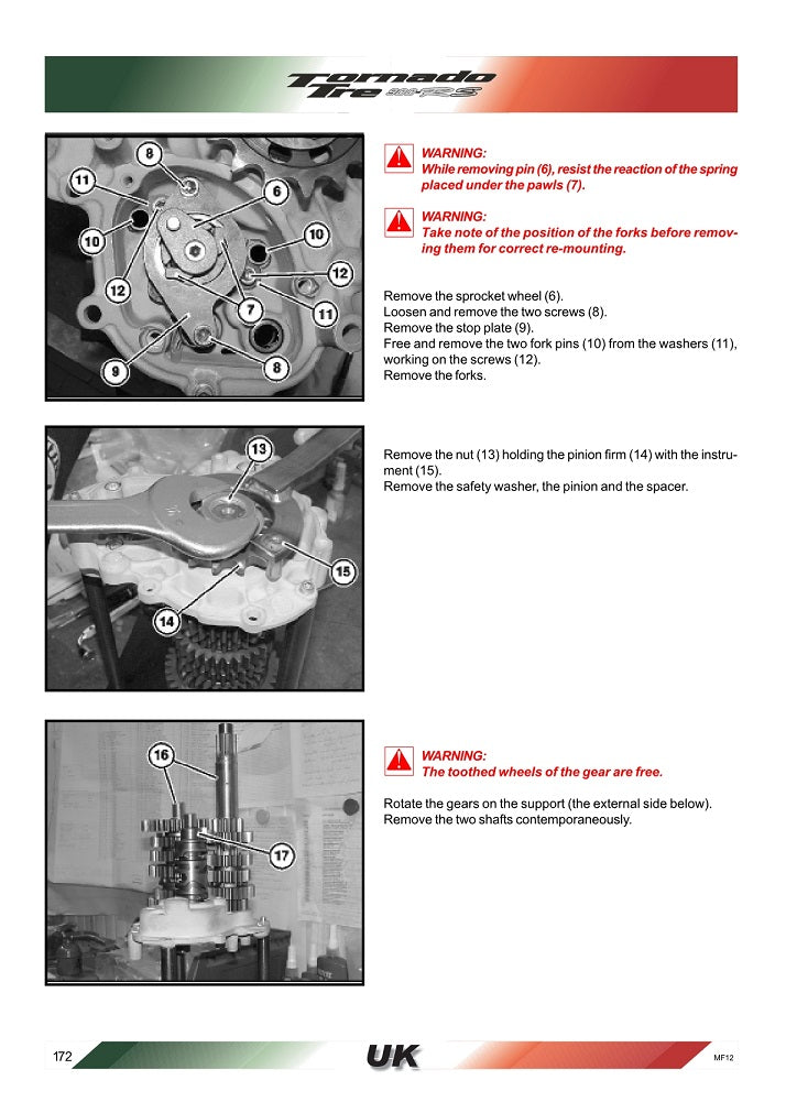 2004-2015 Benelli Tornado RS TRE 900 Service Manual