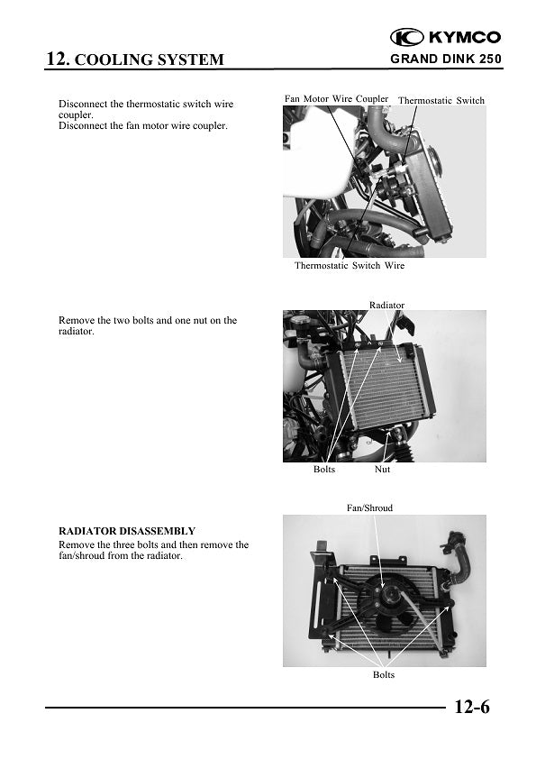 2002-2007 KYMCO Grand Dink 250 250cc Manual de servicio de scooter