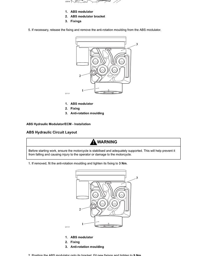 TRIUMPH STREET TRIPLE 765 RS SERVICE MANUAL visual data 5