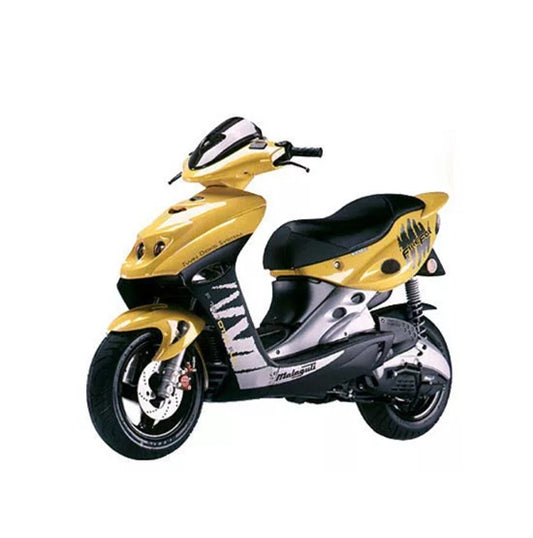 1996-2005 Malaguti F15 Firefox Service Manual