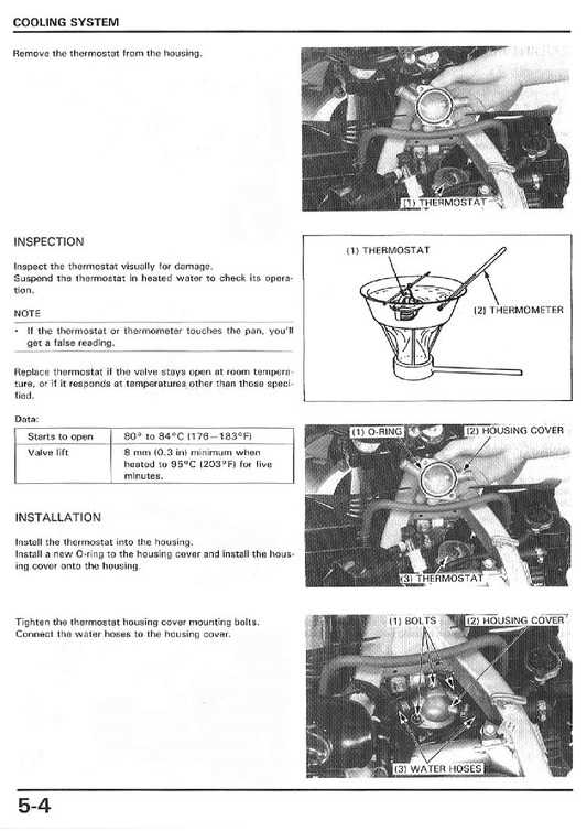 1986–1999 Honda XL600V Transalp-Handbuch